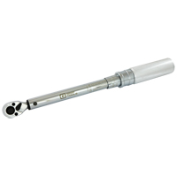 Cl&eacute; dynamom&eacute;trique &agrave; microm&egrave;tre, &agrave; cliquer, Entraînement 3/8" carr&eacute;, 30 - 250 lb-po Planification Entrepots Molloy