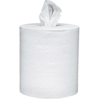 Scott<sup>®</sup> Essential Paper Towels, 2 Ply, Centre Pull, 625' L NJI990 | Planification Entrepots Molloy