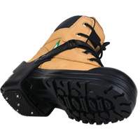 Crampons &agrave; glace Heelstop intrins&egrave;ques, Carbure de tungst&egrave;ne, Traction Crampon, Grand Planification Entrepots Molloy