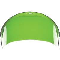 &eacute;cran facial, Polycarbonate, Teinte Vert Planification Entrepots Molloy