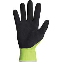 Dexterity&reg; Coated Gloves, 10, Latex Coating, 13 Gauge, Polyester Shell Planification Entrepots Molloy