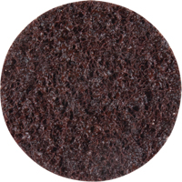 Disques de traitement des surfaces Standard Abrasives, 2" dia., Grain Cors&eacute; Planification Entrepots Molloy