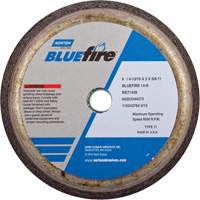 Disque &agrave; &eacute;barbage portatif non renforc&eacute; BlueFire Planification Entrepots Molloy