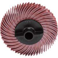 Abrasive Bristle Discs