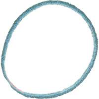 Scotch-Brite Surface Conditioning Belt Planification Entrepots Molloy