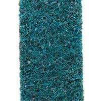 Scotch-Brite Surface Conditioning Belt Planification Entrepots Molloy