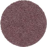 Meule en toile PSA 348D, 20" dia., Grain 60, Oxyde d'aluminium Planification Entrepots Molloy