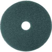 Cleaner Pad, 13", Scrubbing, Blue NU293 | Planification Entrepots Molloy