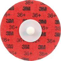 Disque &agrave; d&eacute;ligner durable II Roloc Cubitron, 3" dia., Grain 36+, C&eacute;ramique Planification Entrepots Molloy