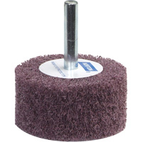 Meule &agrave; lamelles abrasives Bear-Tex Planification Entrepots Molloy