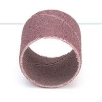 Evenrun Coated Abrasive Band, 1" x 1", Aluminum Oxide, P80 Grit Planification Entrepots Molloy