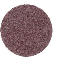 Disque de conditionnement de surface, 1" dia., Grain P100, Oxyde d'aluminium Planification Entrepots Molloy