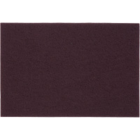 Tampons manuels Bear-Tex, Oxyde d'aluminium, 6" x 9", Grain Tr&egrave;s fin Planification Entrepots Molloy