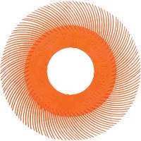 Scotch-Brite Type C Precision Radial Bristle Brush PN-RB without Adapter, Ceramic, 80+ Grit, 6" Dia. Planification Entrepots Molloy