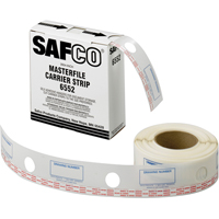 Carrier Strip transparent Planification Entrepots Molloy