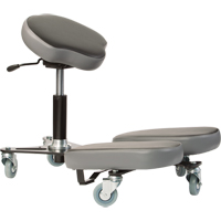 Chaise pour service spécial