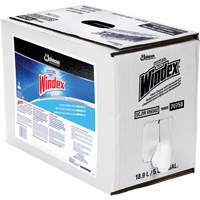 Nettoyant pour vitres Windex avec Ammoniac-D, 5 gal., Sac Planification Entrepots Molloy