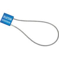 Scell&eacute;s de haute s&eacute;curit&eacute;, 12", M&eacute;tal, Scell&eacute; &agrave; c&acirc;ble Planification Entrepots Molloy