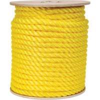 Corde jaune tress&eacute;e, Polypropyl&egrave;ne, 300' Planification Entrepots Molloy
