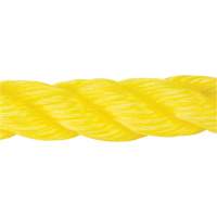 Corde jaune tress&eacute;e, Polypropyl&egrave;ne, 300' Planification Entrepots Molloy