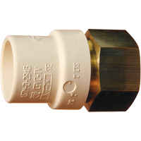 Adaptateur de tuyau filet&eacute;, Noeud x FPT, 1" dia., Laiton/PVC-C Planification Entrepots Molloy