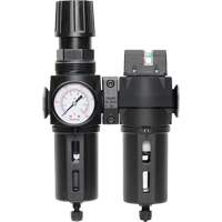 Filter/Regulator & Coalescing Filter Modulair 300 with Standard Bowl & Manual Drain, 3/8" NPTF, 150 PSI, 5.12 fl. oz. Capacity Planification Entrepots Molloy