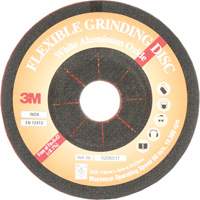 Flexible Grinding Disc, 4-5/8", Aluminum Oxide, 22 mm, Type WA Planification Entrepots Molloy