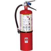Extincteur d'incendie, ABC, Capacit&eacute; 10 lb Planification Entrepots Molloy