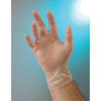 Gants d'examen, Petit, Vinyle, 4 mils, Sans poudre, Transparent, Classe 2 Planification Entrepots Molloy