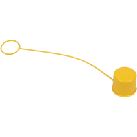 Tethered Eyewash Dust Cap Planification Entrepots Molloy