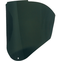 Visi&egrave;res de Rechange Bionic, Polycarbonate, Teinte 5,0 Planification Entrepots Molloy