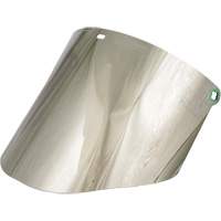 &eacute;cran facial moul&eacute;, Polycarbonate, Teinte Vert Planification Entrepots Molloy