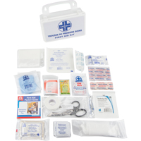 First Aid Kit, Class 1 Medical Device, Plastic B Planification Entrepots Molloy