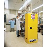 Armoire de s&eacute;curit&eacute; pour produits inflammables EX Slimline Sure-Grip , 22 gal., 1 Porte(s), 23,25" La x 65" h x 18" p Planification Entrepots Molloy