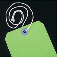 String Ties Planification Entrepots Molloy