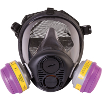 Respirateur à masque complet de série RU6500 de North<sup>MD</sup>, Silicone, Petit SDN451 | Planification Entrepots Molloy