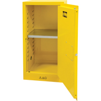 Armoire pour produits inflammables, 16 gal., 1 Porte(s), 23" La x 44" h x 18" p Planification Entrepots Molloy