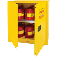 Armoire pour produits inflammables, 30 gal., 2 Porte(s), 43" La x 44" h x 18" p Planification Entrepots Molloy