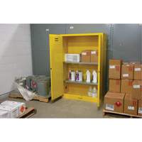 Armoire pour produits inflammables, 45 gal., 2 Porte(s), 43" La x 65" h x 18" p Planification Entrepots Molloy