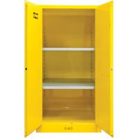 Armoire pour produits inflammables, 60 gal., 2 Porte(s), 34" La x 65" h x 34" p Planification Entrepots Molloy