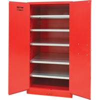 Paint/Ink Cabinet, 96 gal., 5 Shelves Planification Entrepots Molloy