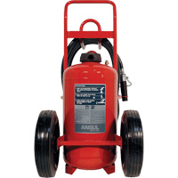 Red Line&reg; Wheeled Fire Extinguishers, BC, 125 lbs. Capacity Planification Entrepots Molloy