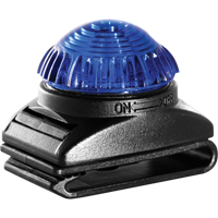 Guardian Warning Light, Continuous/Flashing, Blue Planification Entrepots Molloy
