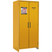 Armoire d'entreposage 90 minutes s&eacute;curitaire et conforme &agrave; la norme EN, 30 gal., 2 Porte(s), 35,16" La x 76,89" h x 24,21" p Planification Entrepots Molloy