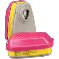 6000 Series Respirator Cartridges, Gas/Vapour Cartridge, Organic Vapour/Acid Gas/P100 Planification Entrepots Molloy