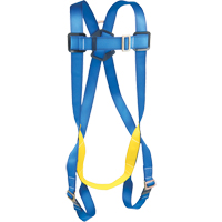 Fall Arrest Harnesses