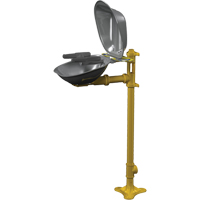 Postes de douche oculaire/faciale Halo, Installation Socle, Bol Acier inoxydable Planification Entrepots Molloy