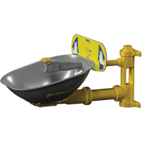 Poste de douche oculaire Halo, Installation Montage mural, Bol Acier inoxydable Planification Entrepots Molloy