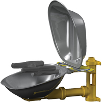 Postes de douche oculaire/faciale Halo, Installation Montage mural, Bol Acier inoxydable Planification Entrepots Molloy