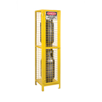 Gas Cylinder Cabinets, 2 Cylinder Capacity, 17" W x 17" D x 69" H, Yellow SEB838 | Planification Entrepots Molloy